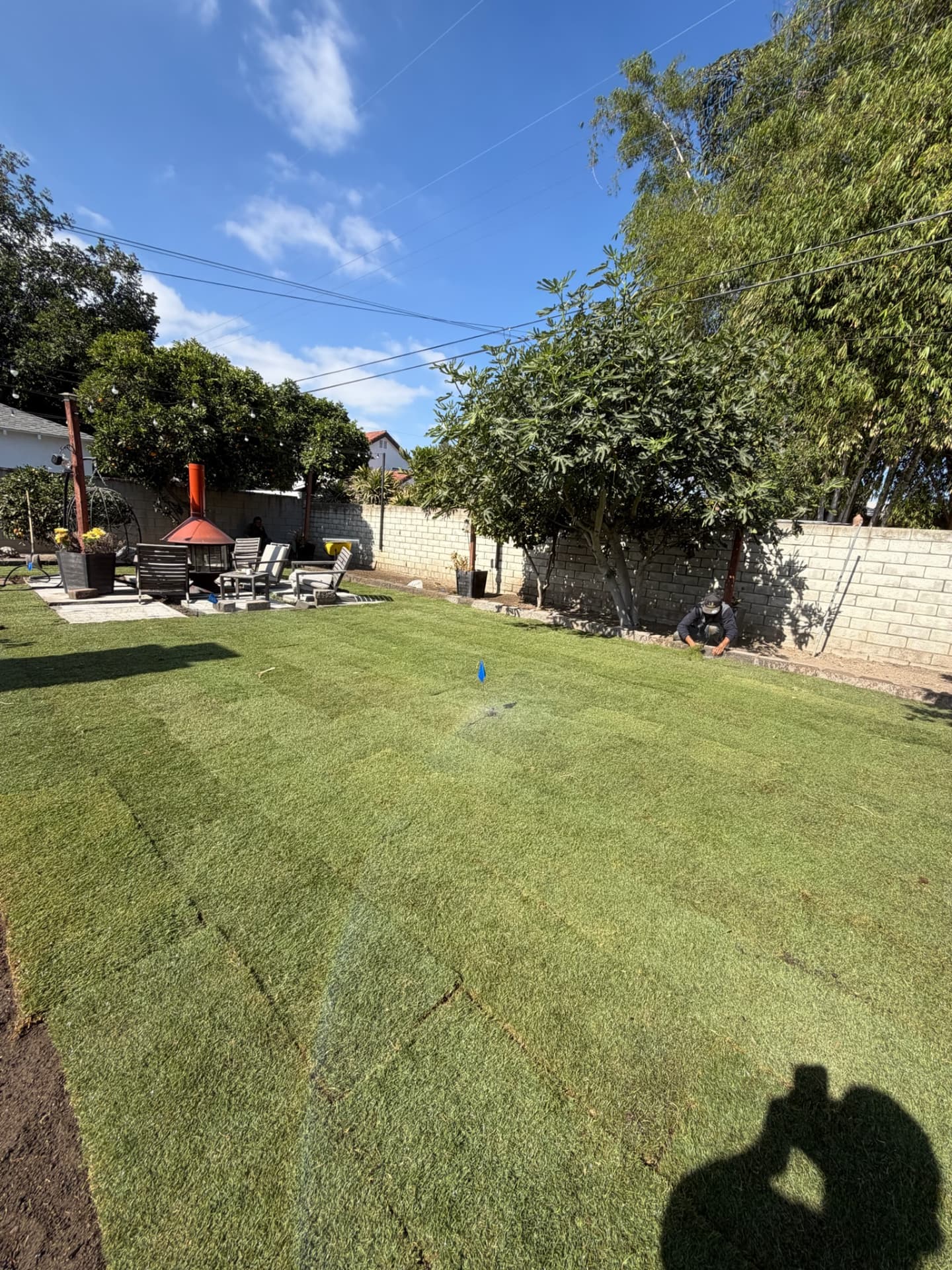 Freshly installed sod lawn with irrigation running in a backyard