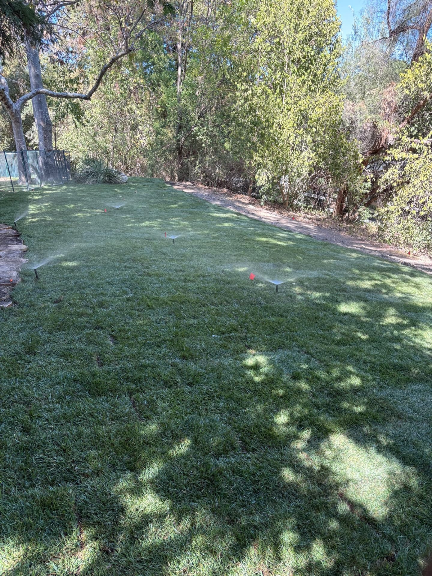 Sprinkler system watering a large shaded lawn