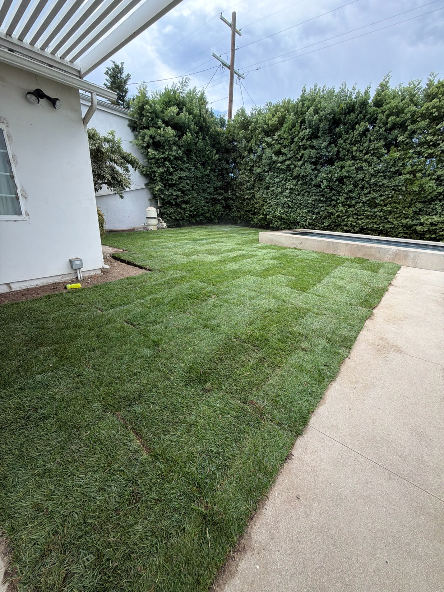 Freshly installed sod lawn with irrigation beside the pool after completion